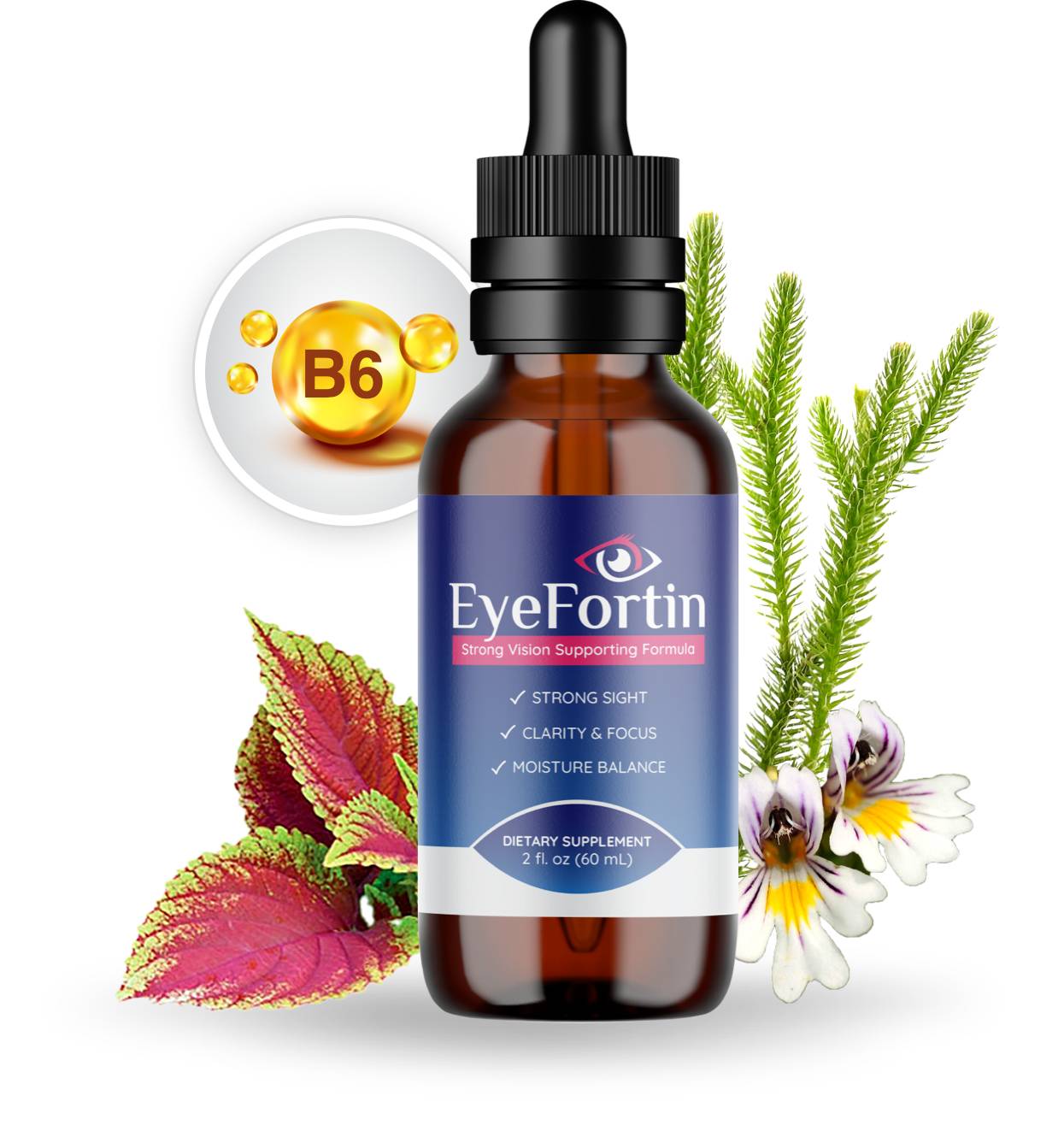 EyeFortin Supplement